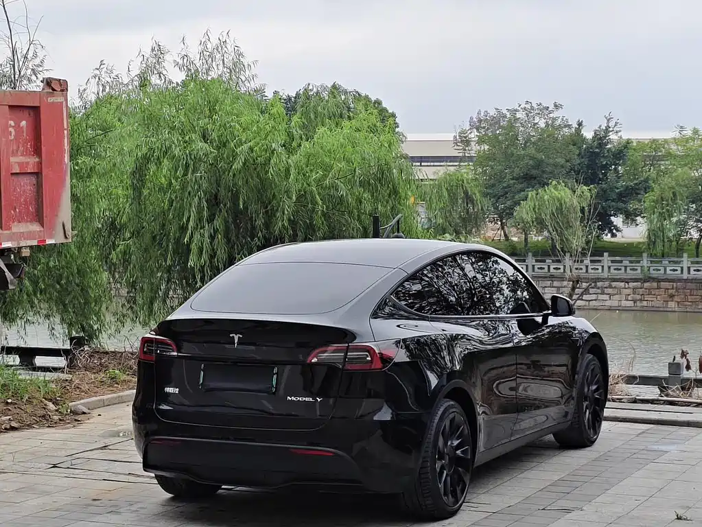 Tesla Model Y — фото 3