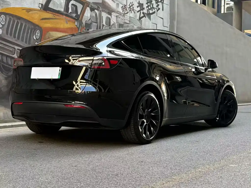 Tesla Model Y — фото 2