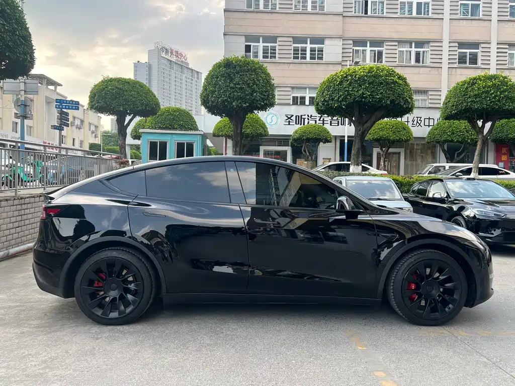 Tesla Model Y — фото 3