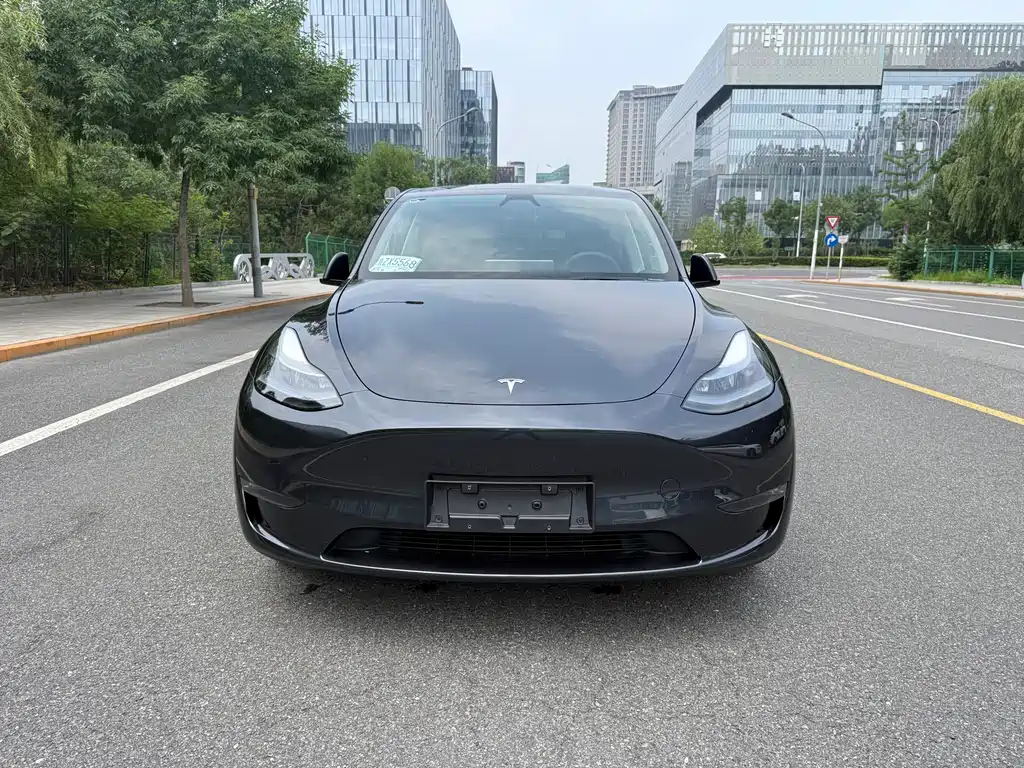Tesla Model Y — фото 2
