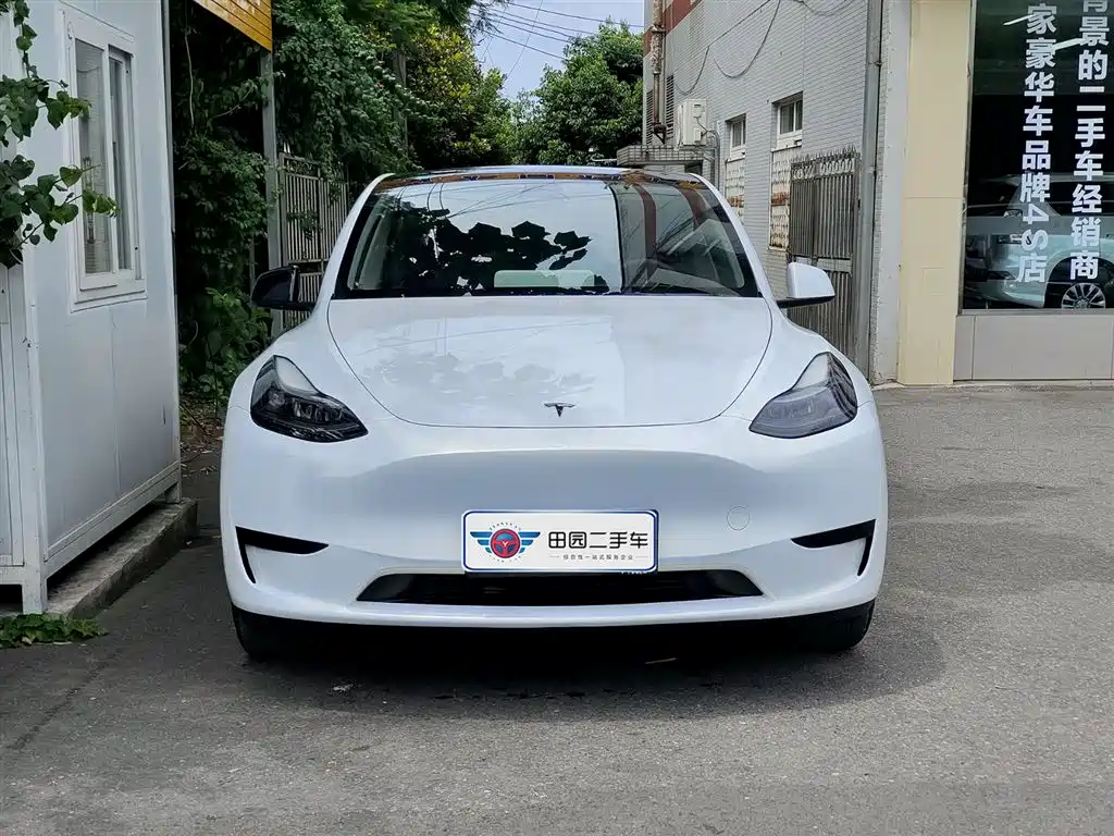 Tesla Model Y — фото 2