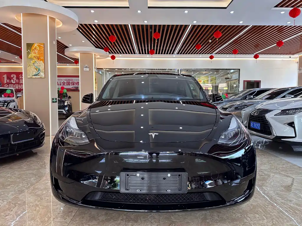 Tesla Model Y — фото 2