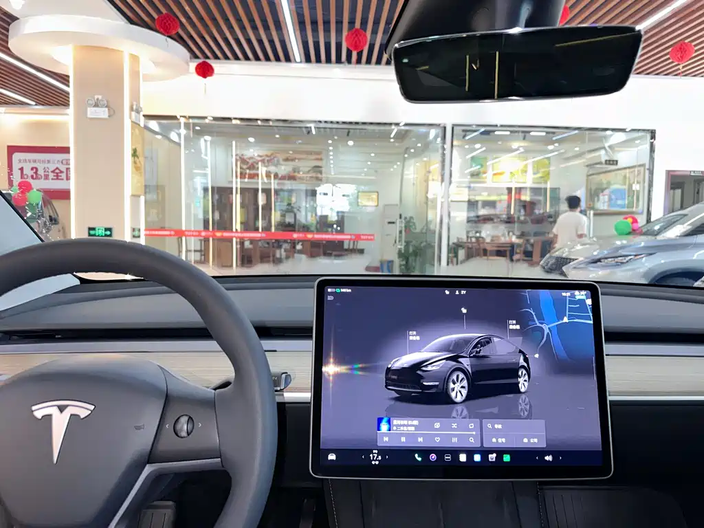 Tesla Model Y — фото 11