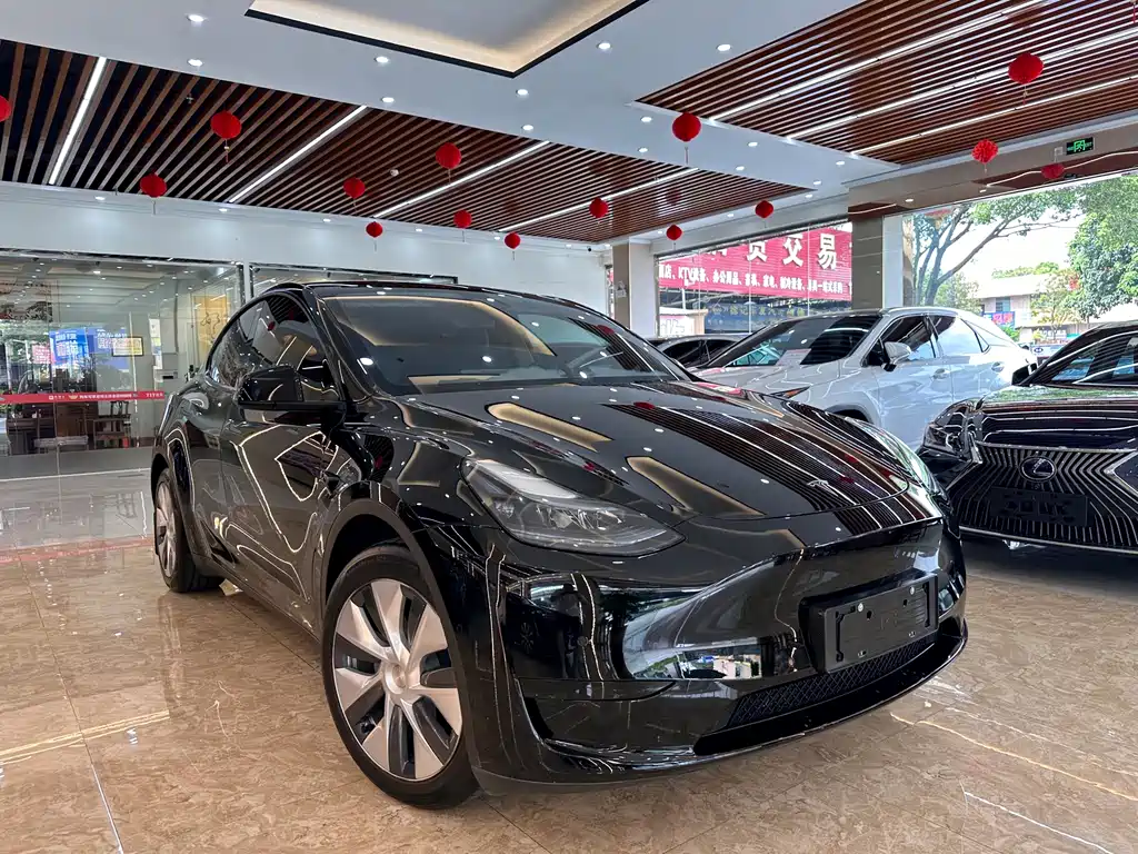 Tesla Model Y — фото 3