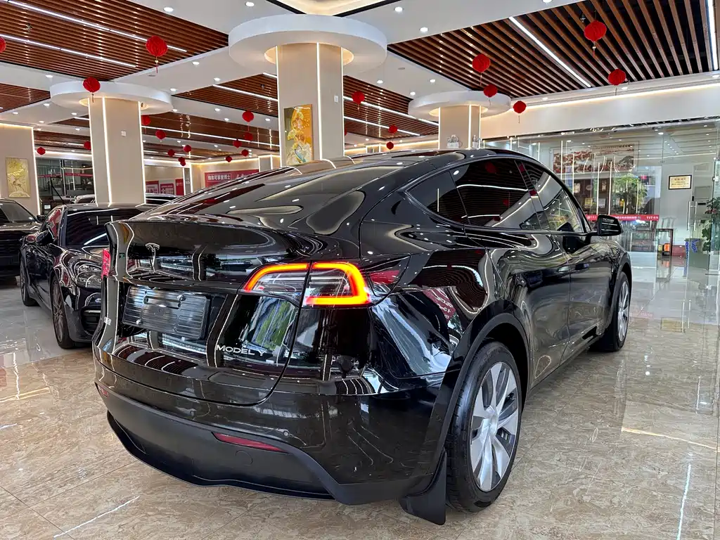 Tesla Model Y — фото 4