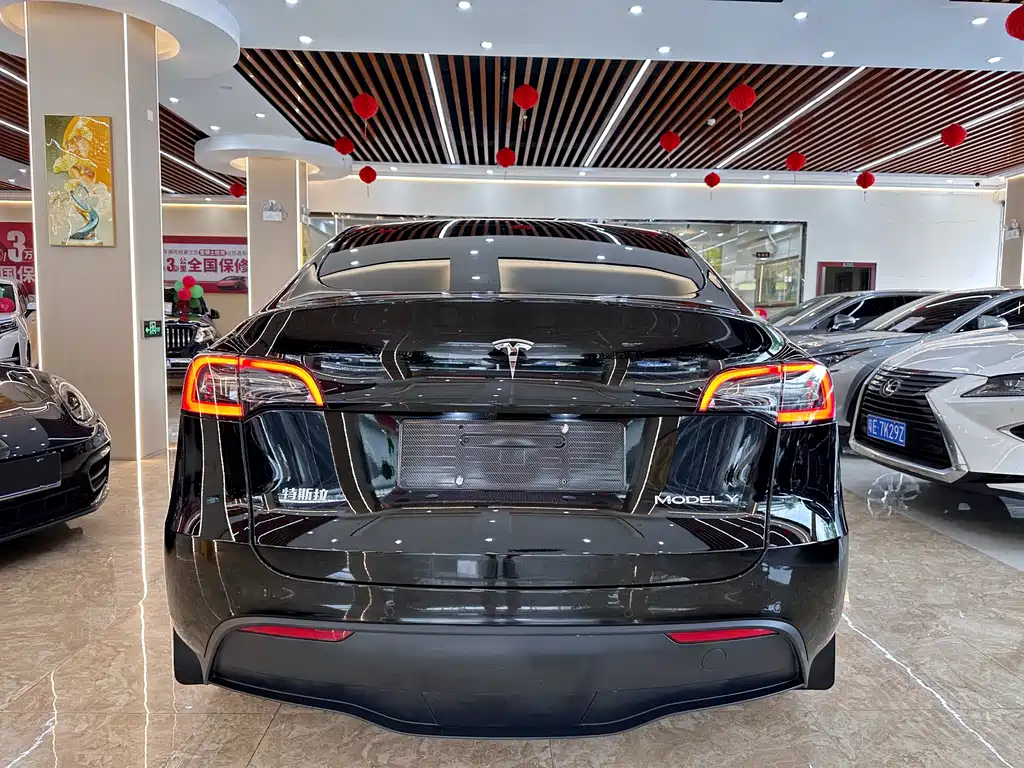 Tesla Model Y — фото 5
