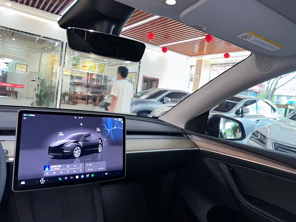 Tesla Model Y — фото 9