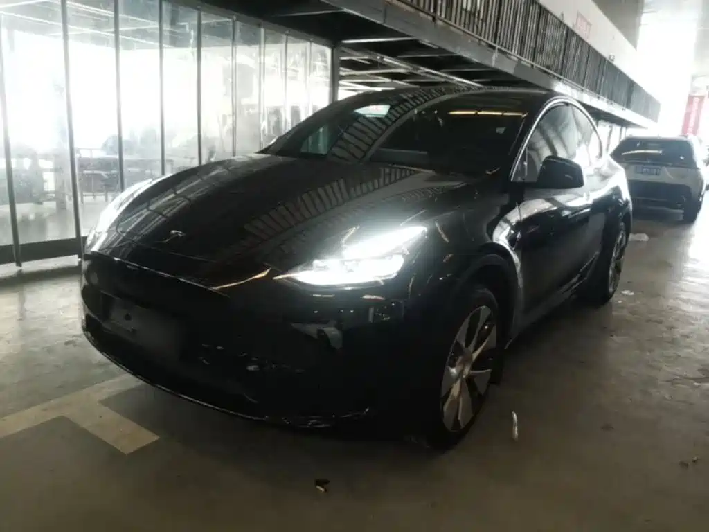 Tesla Model Y — фото 2