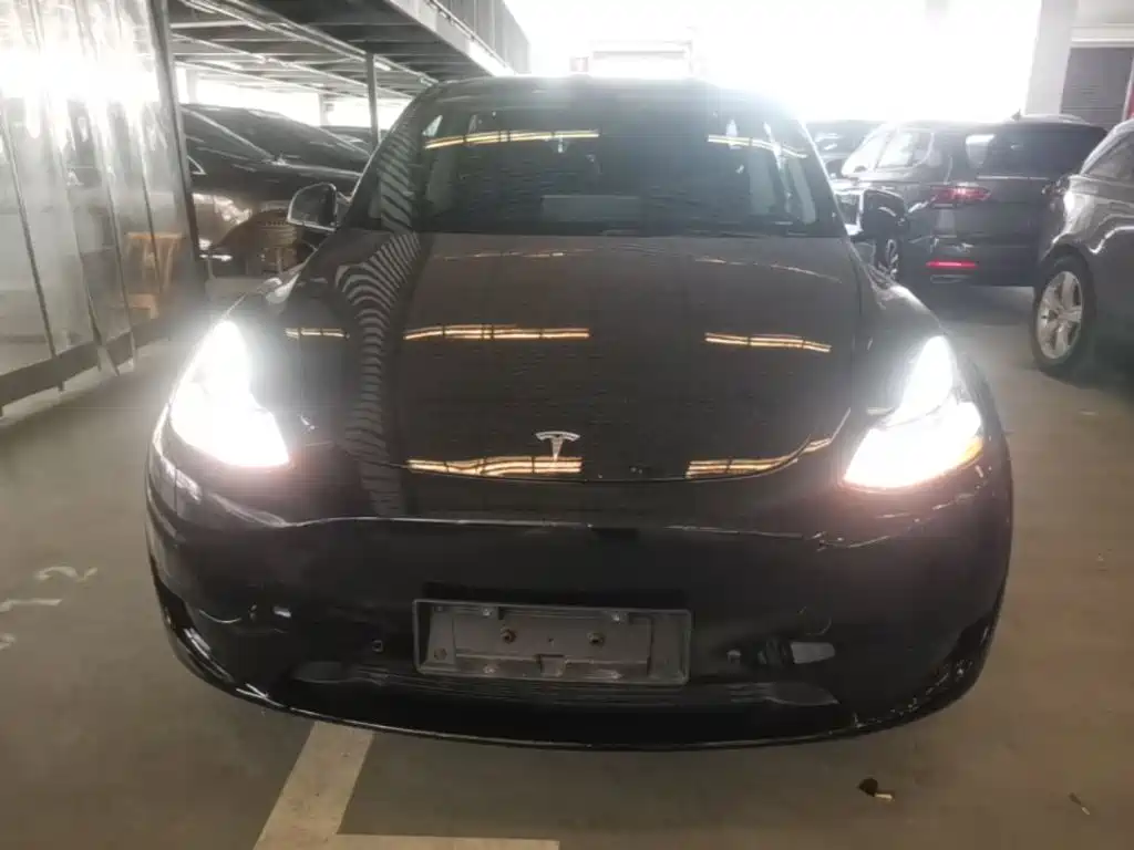 Tesla Model Y — фото 3