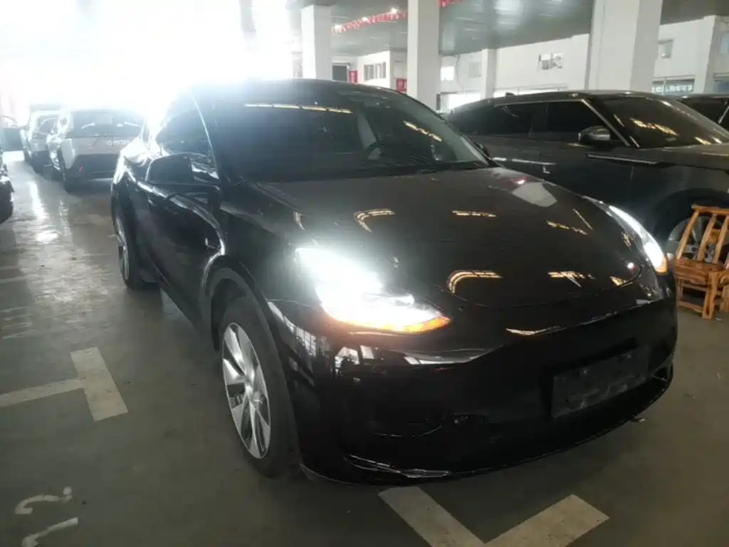 Tesla Model Y — фото 4