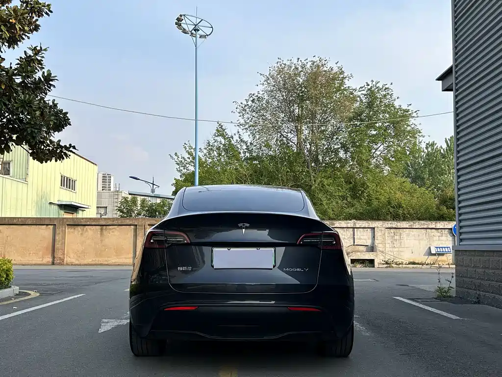 Tesla Model Y — фото 2