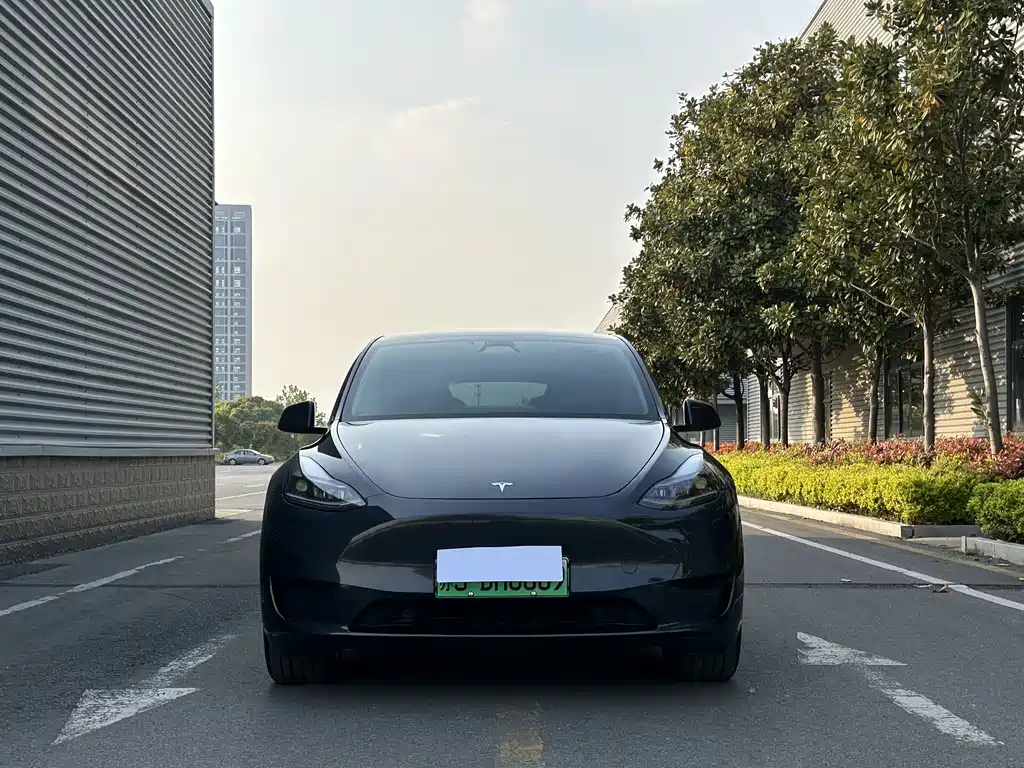 Tesla Model Y — фото 3