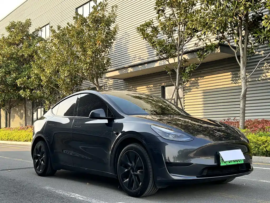 Tesla Model Y — фото 4