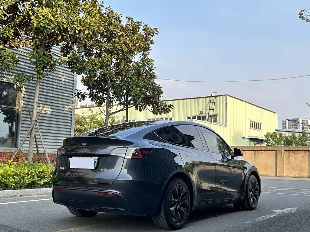 Tesla Model Y — фото 8