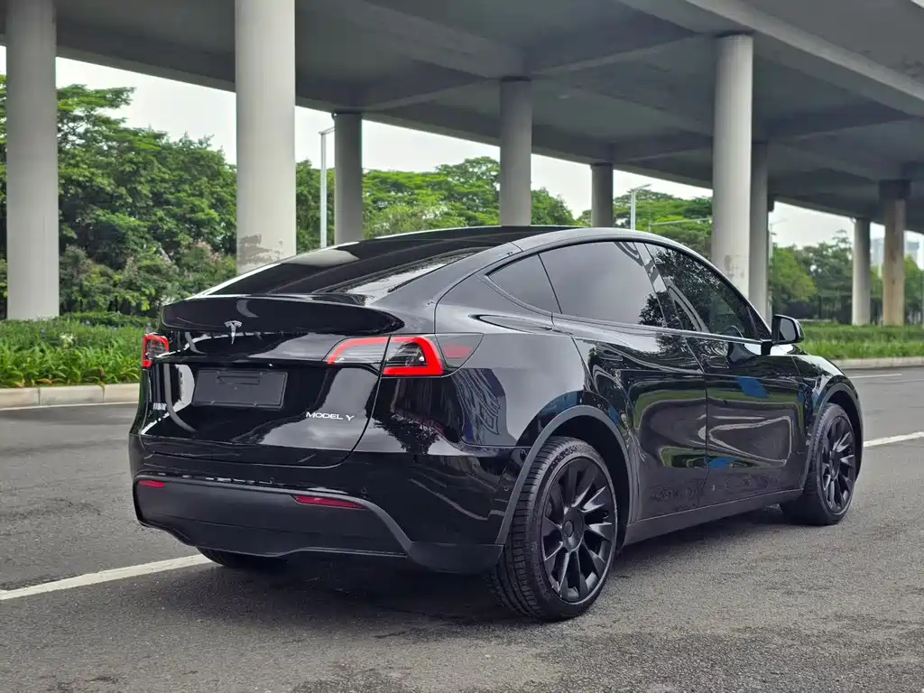 Tesla Model Y — фото 3