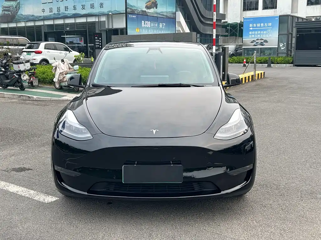 Tesla Model Y — фото 2
