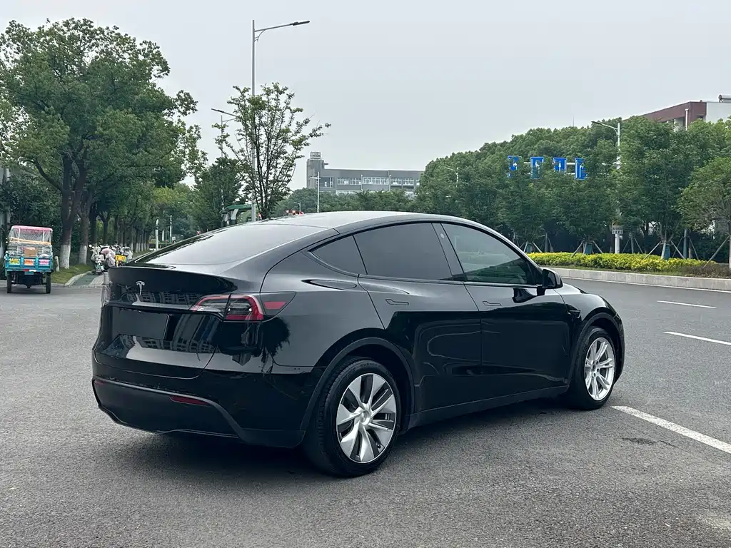 Tesla Model Y — фото 8