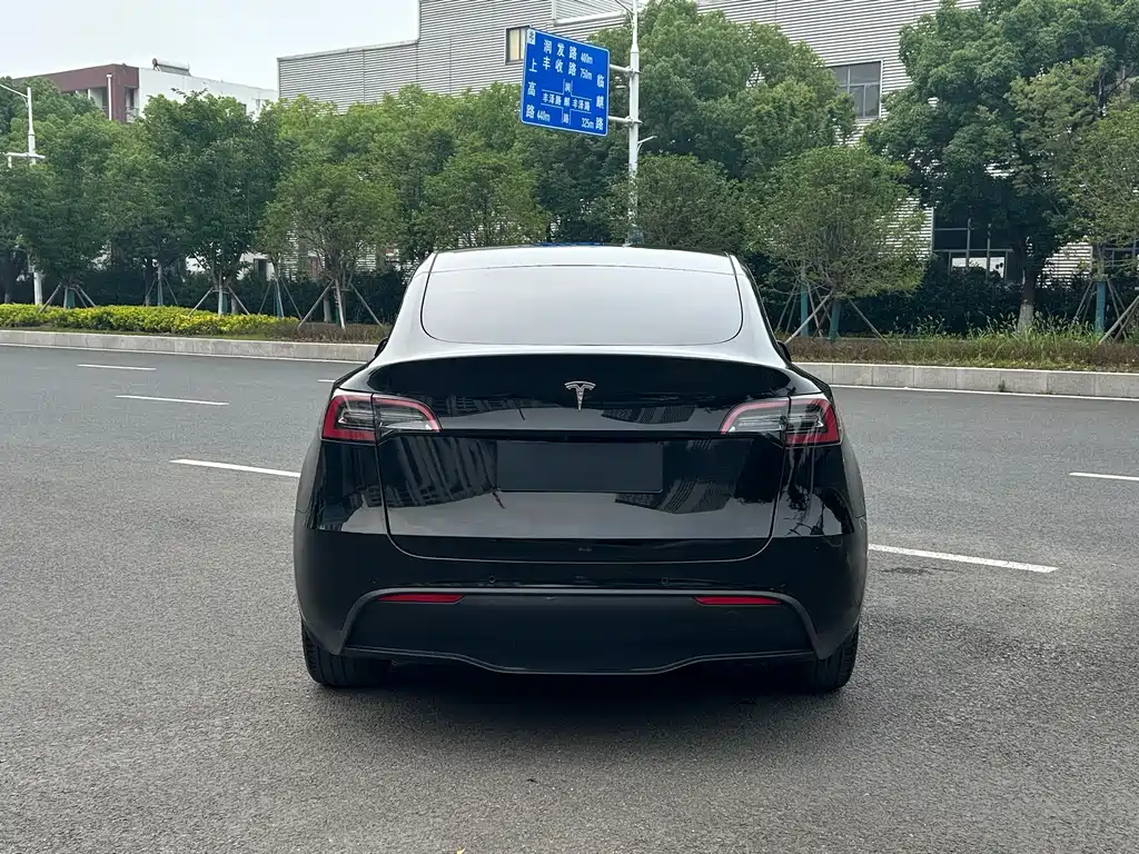 Tesla Model Y — фото 9