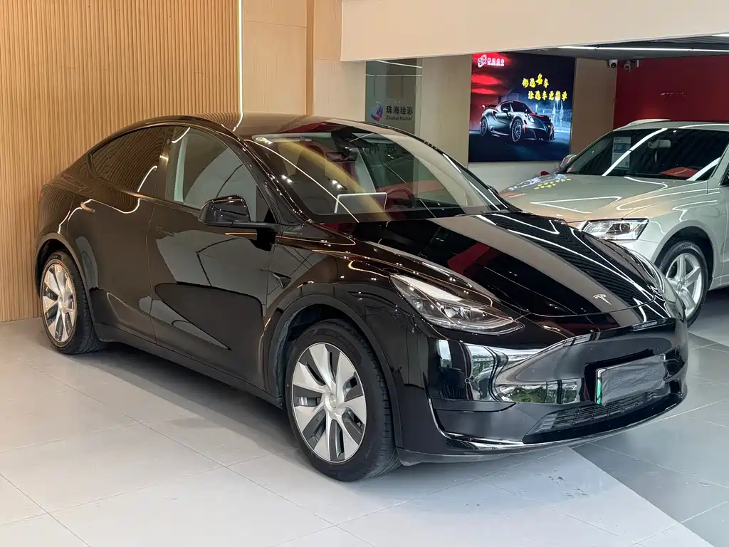 Tesla Model Y — фото 3