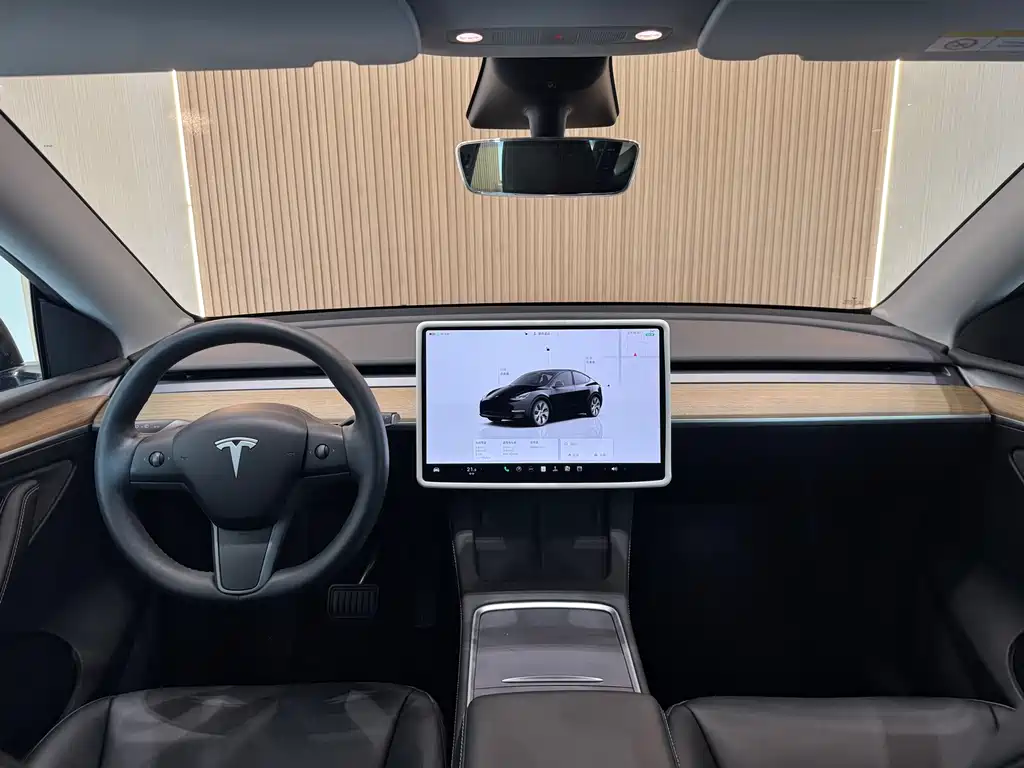 Tesla Model Y — фото 8