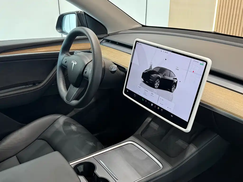 Tesla Model Y — фото 10
