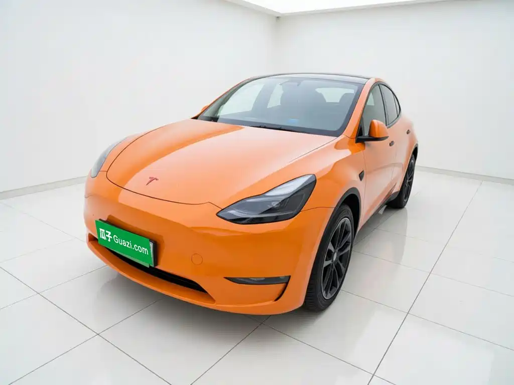 Tesla Model Y — фото 2