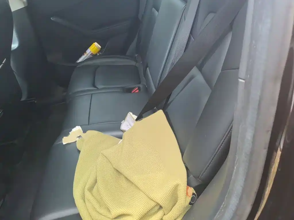 Tesla Model Y — фото 15