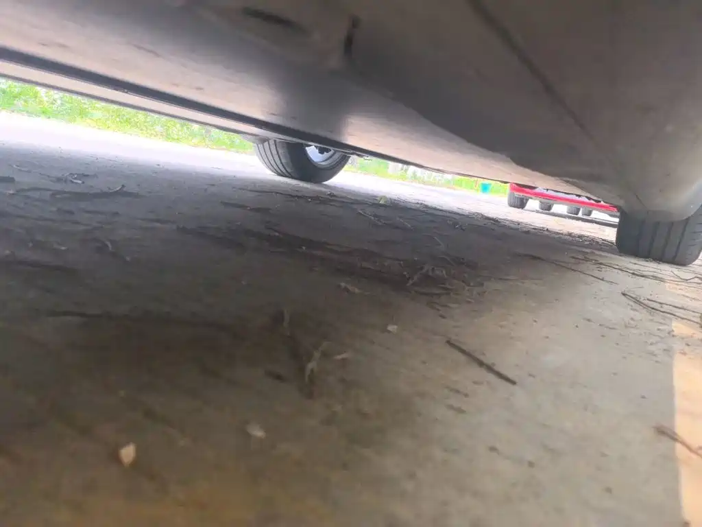 Tesla Model Y — фото 19