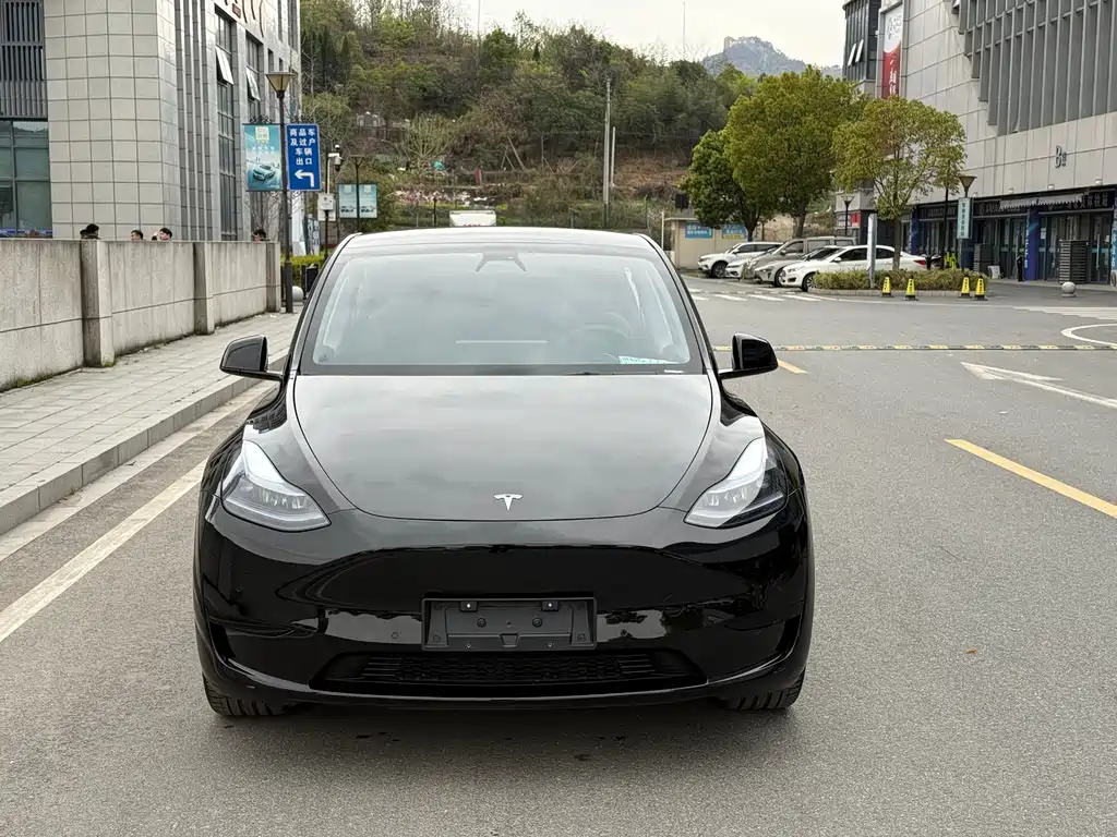 Tesla Model Y — фото 2