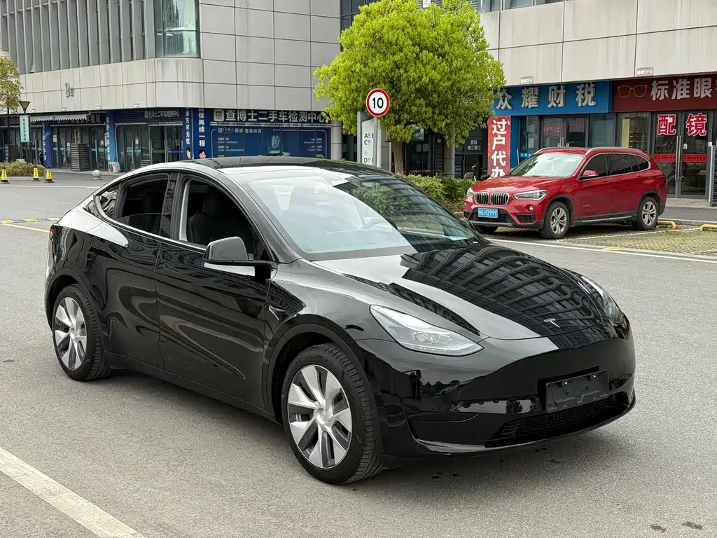 Tesla Model Y — фото 3