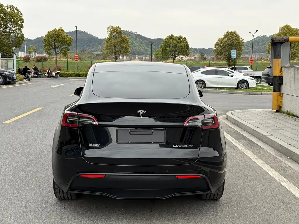 Tesla Model Y — фото 6