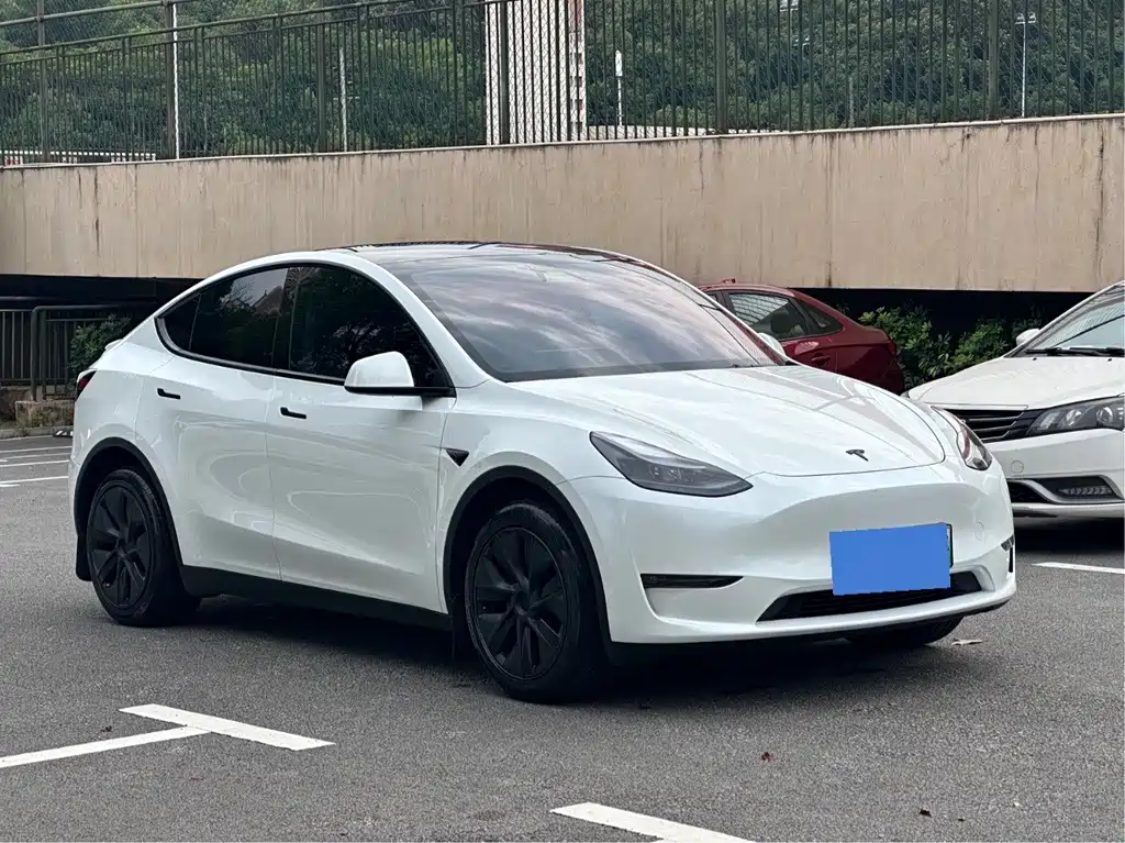 Tesla Model Y — фото 2