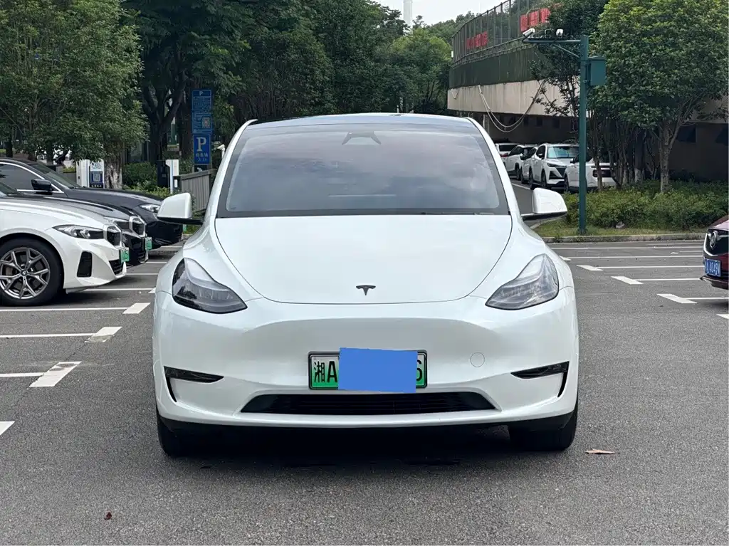Tesla Model Y — фото 3