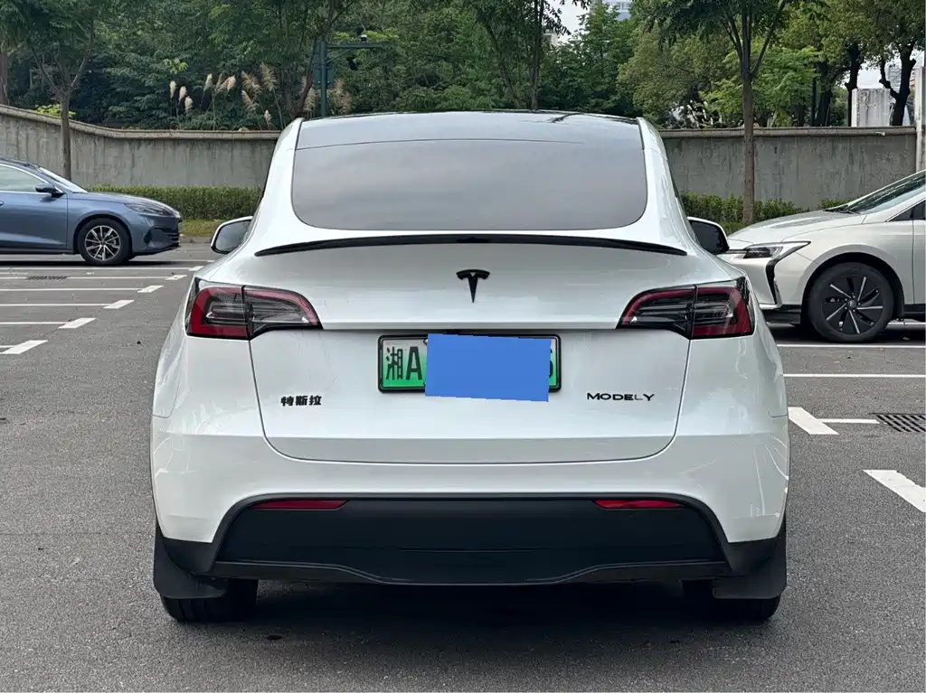 Tesla Model Y — фото 4