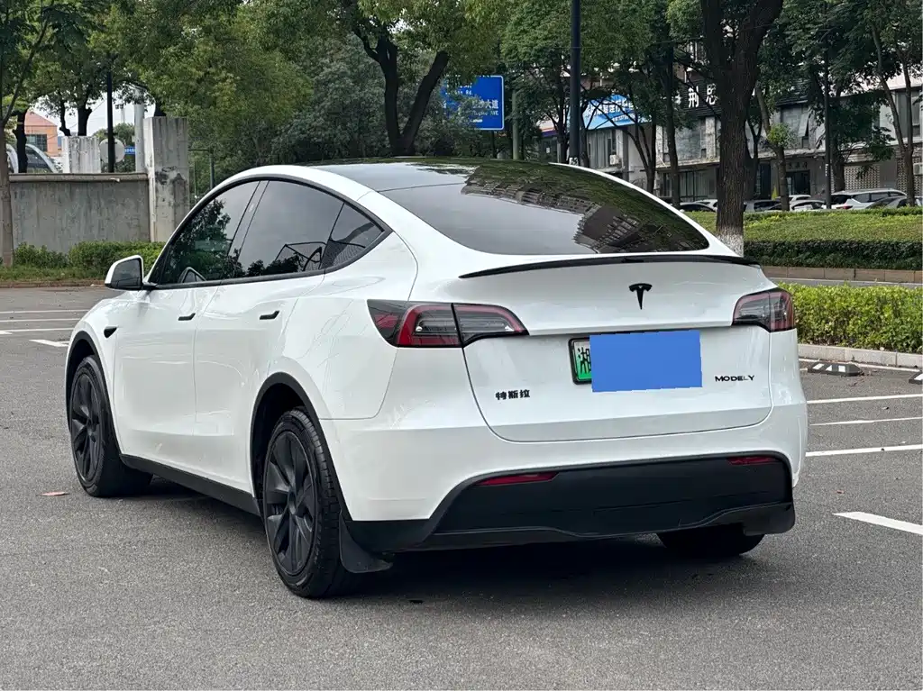 Tesla Model Y — фото 5
