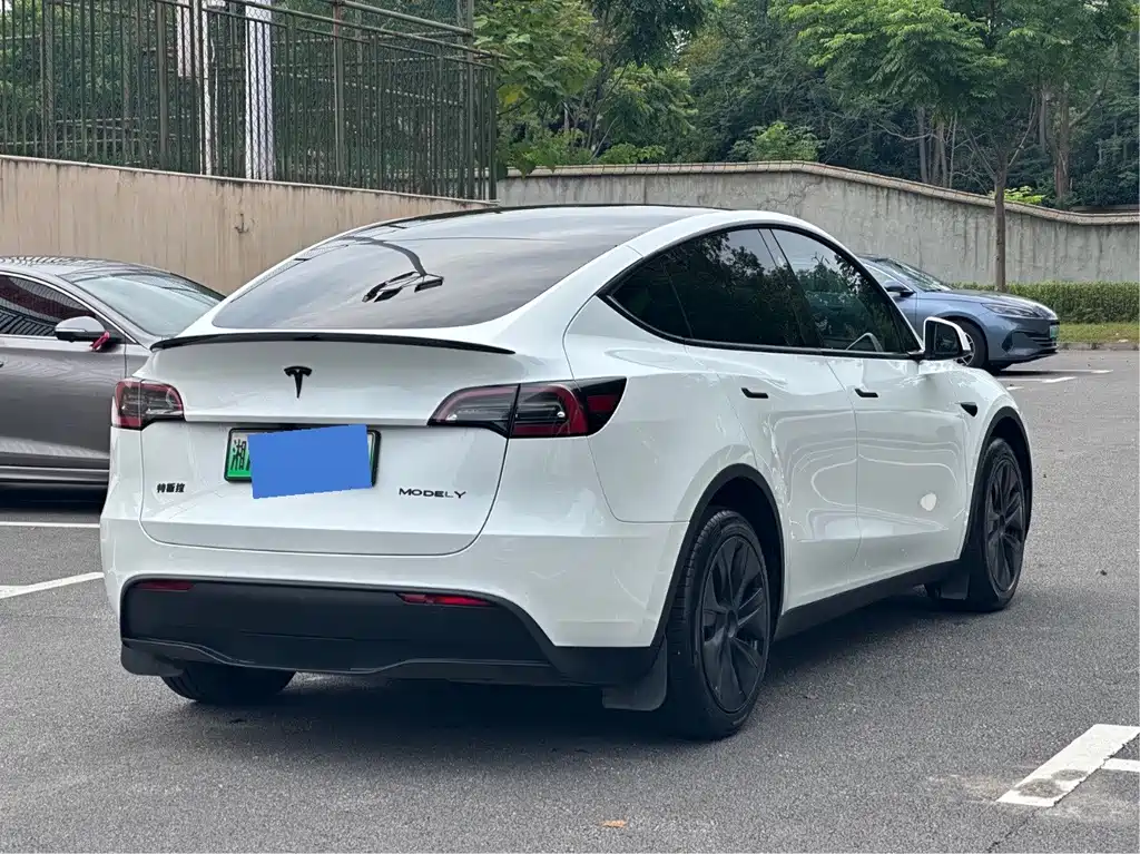 Tesla Model Y — фото 6