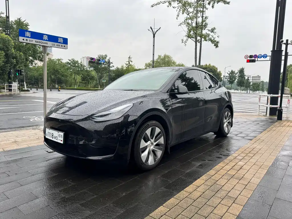 Tesla Model Y — фото 2