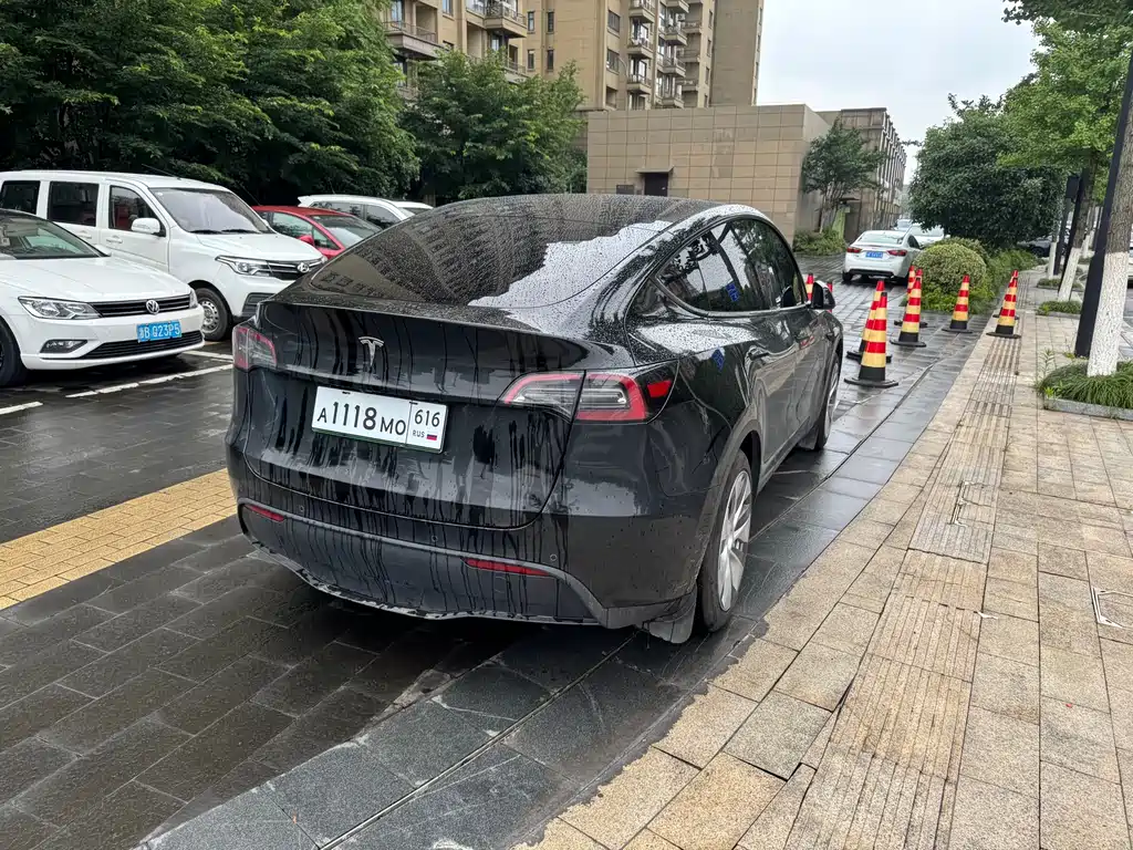 Tesla Model Y — фото 6
