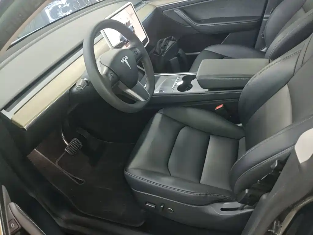 Tesla Model Y — фото 11
