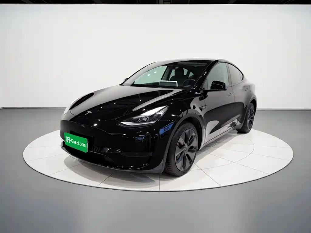 Tesla Model Y — фото 2