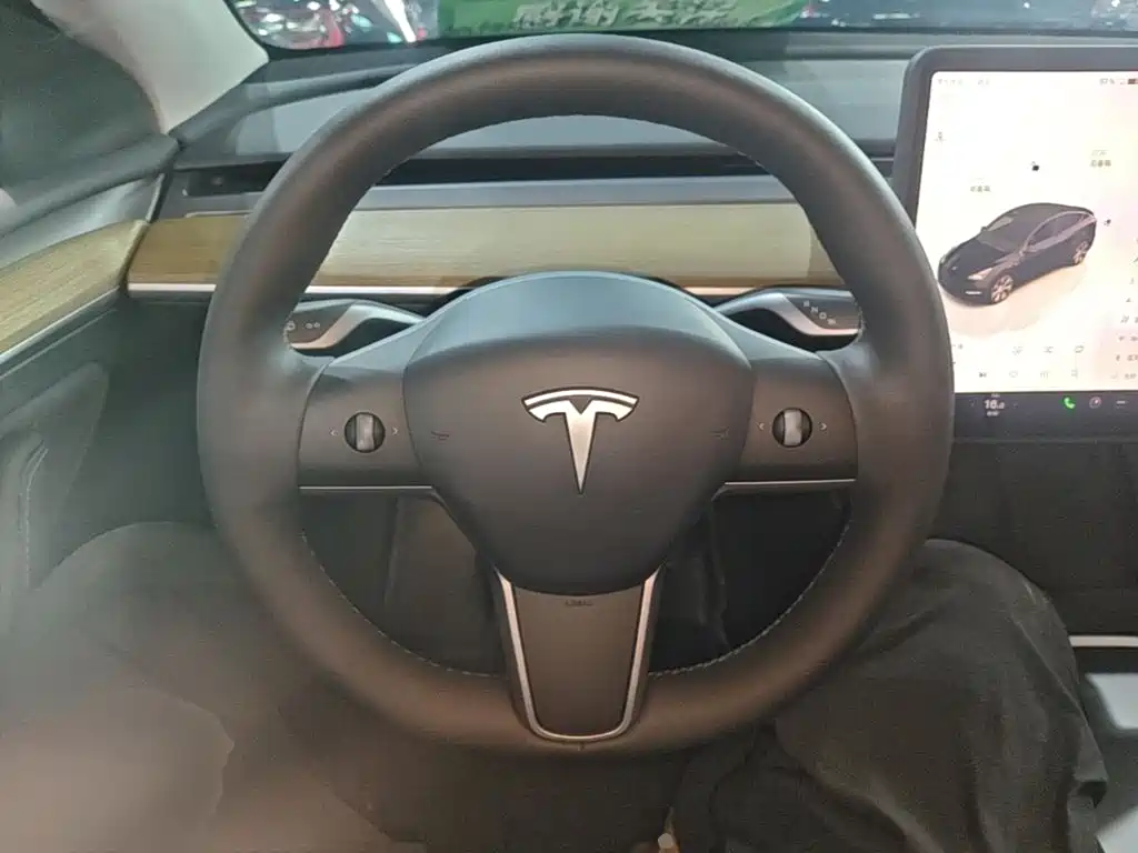 Tesla Model Y — фото 11