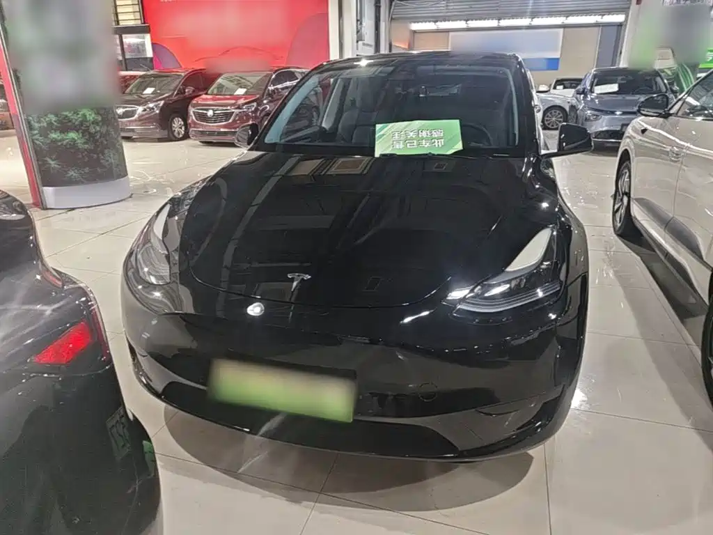 Tesla Model Y — фото 3