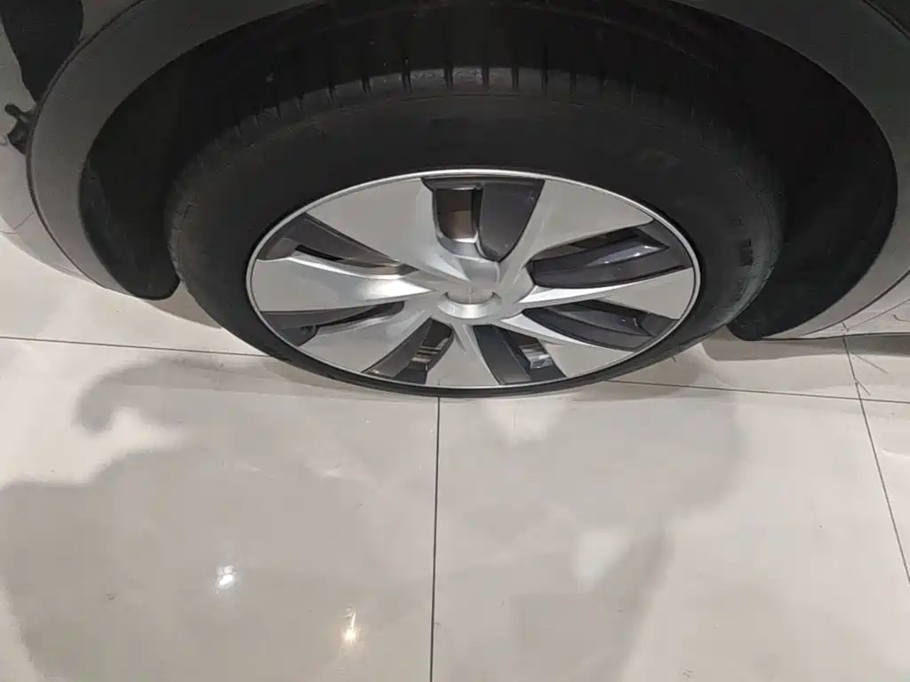 Tesla Model Y — фото 23