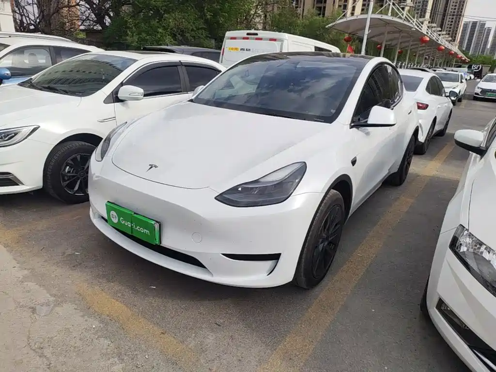 Tesla Model Y — фото 2