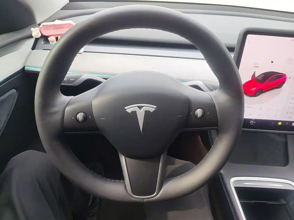 Tesla Model Y — фото 11