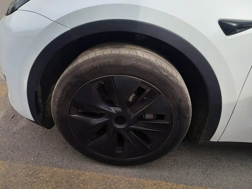 Tesla Model Y — фото 23