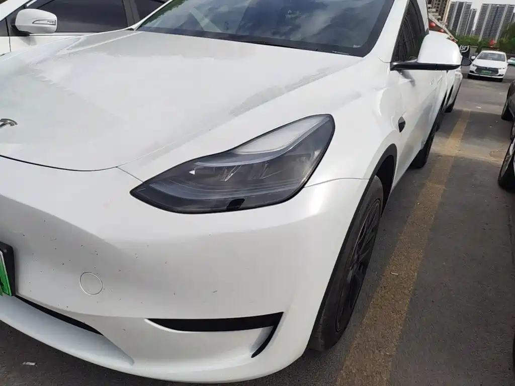Tesla Model Y — фото 24