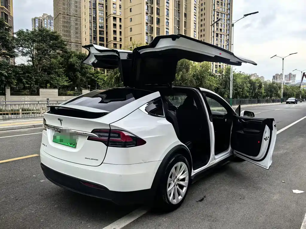 Tesla Model X — фото 15