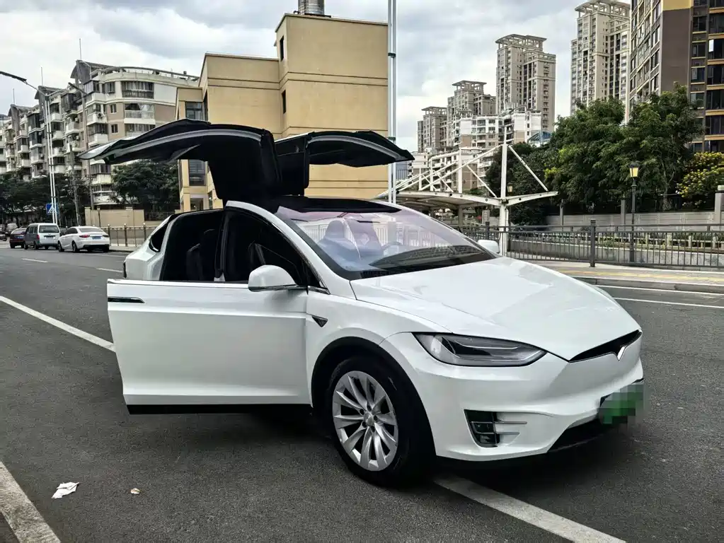 Tesla Model X — фото 17