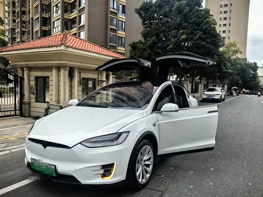 Tesla Model X — фото 18